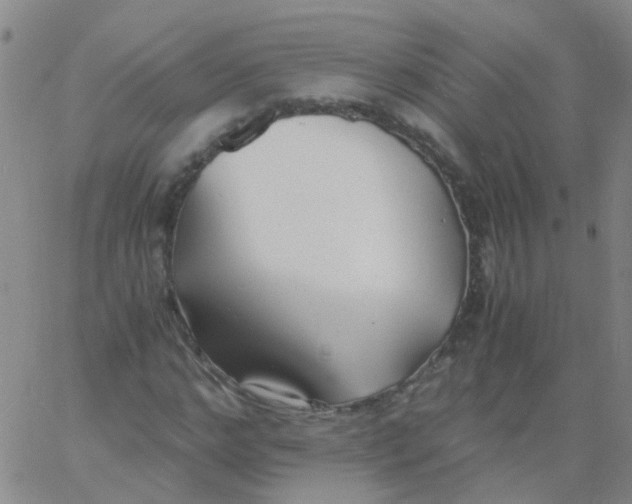 X0000060770968200512082029