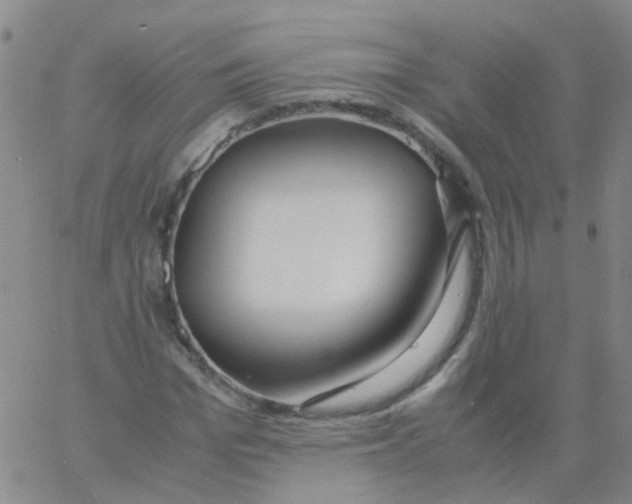 X0000060770969200512082029