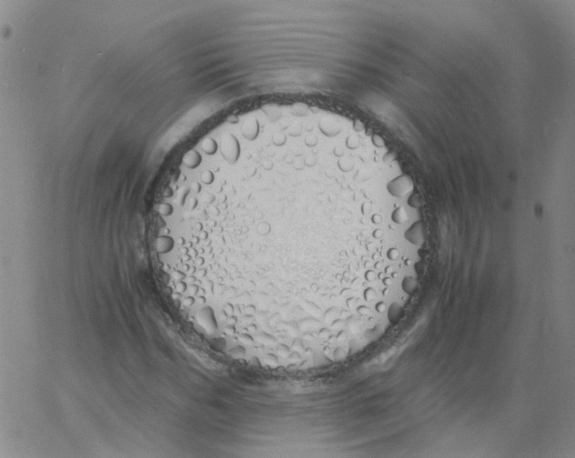 X0000060770970200512082029