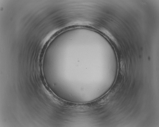 X0000060770972200512082029