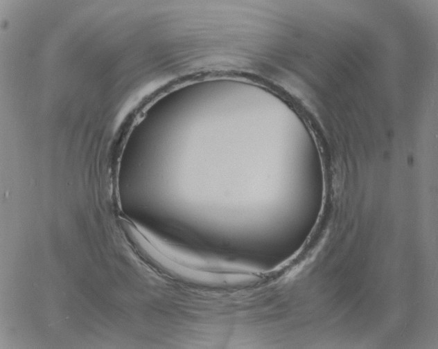 X0000060770973200512082029