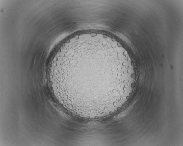 X0000060770974200512082029