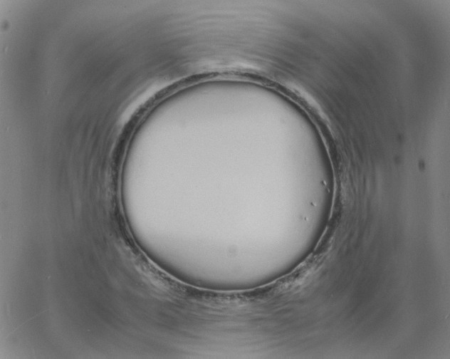 X0000060770975200512082029