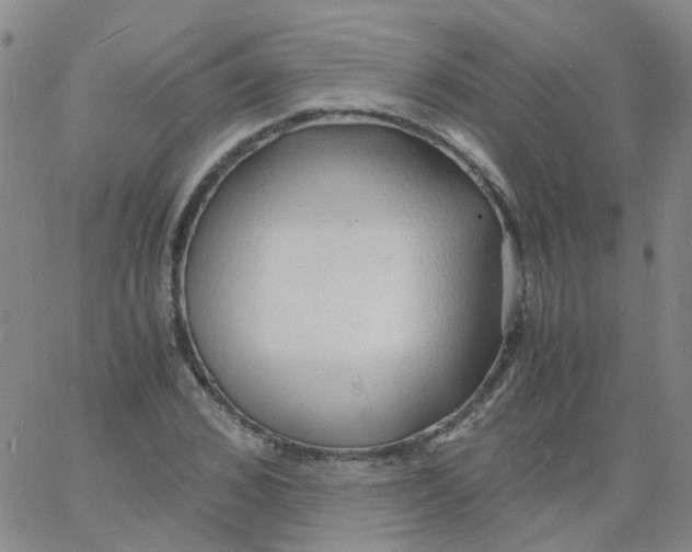 X0000060770976200512082029