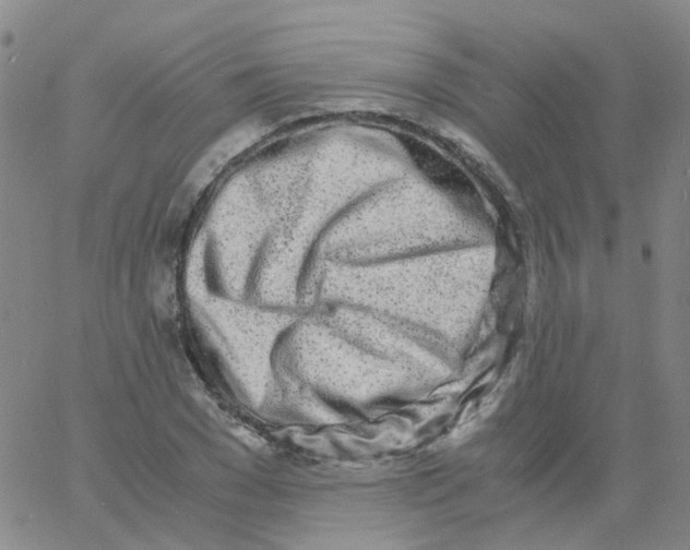 X0000060770977200512082029