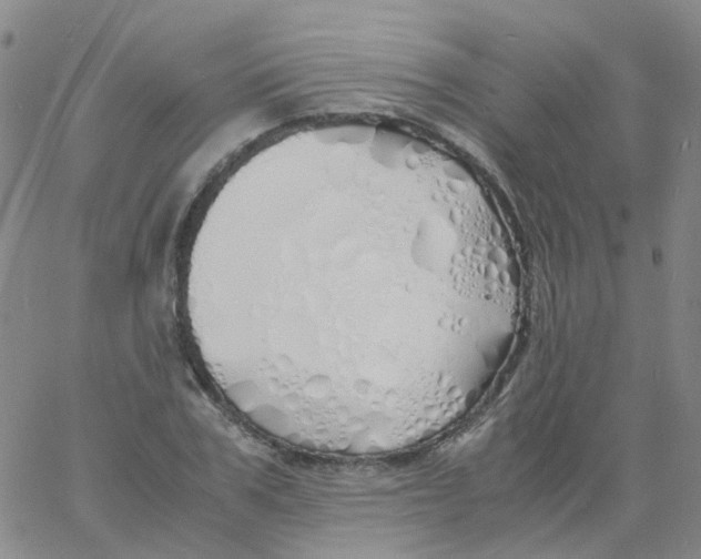 X0000060770979200512082029