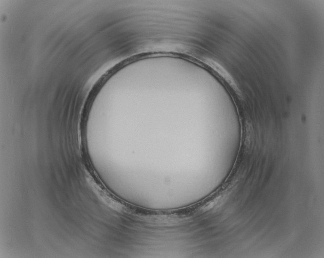 X0000060770980200512082029