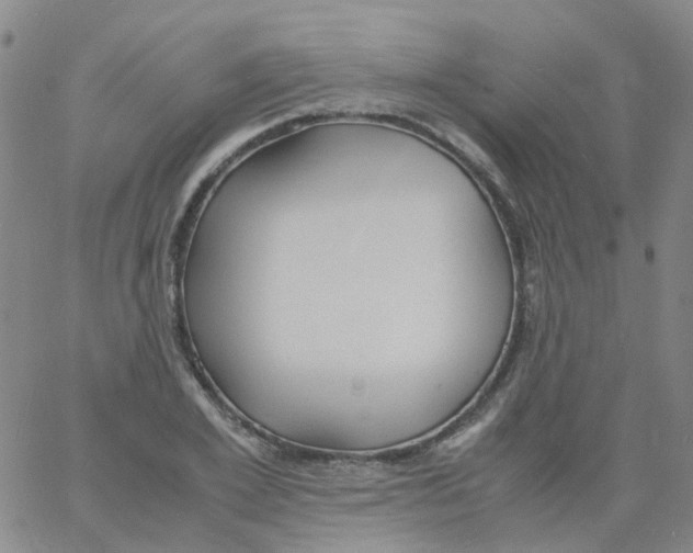 X0000060770981200512082029