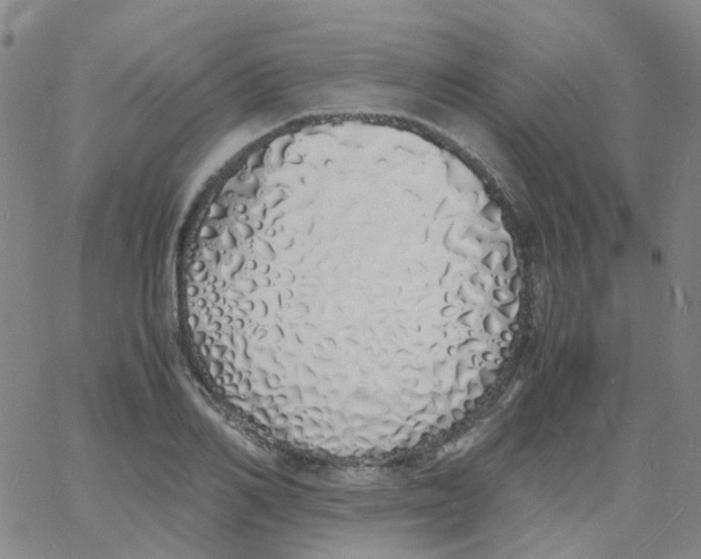 X0000060770982200512082029