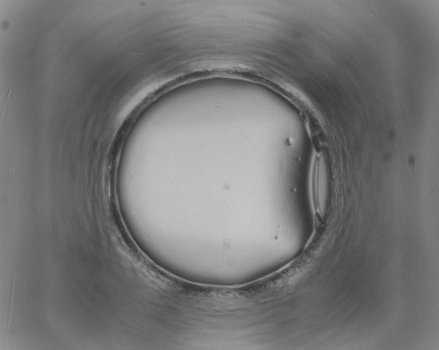 X0000060770983200512082029