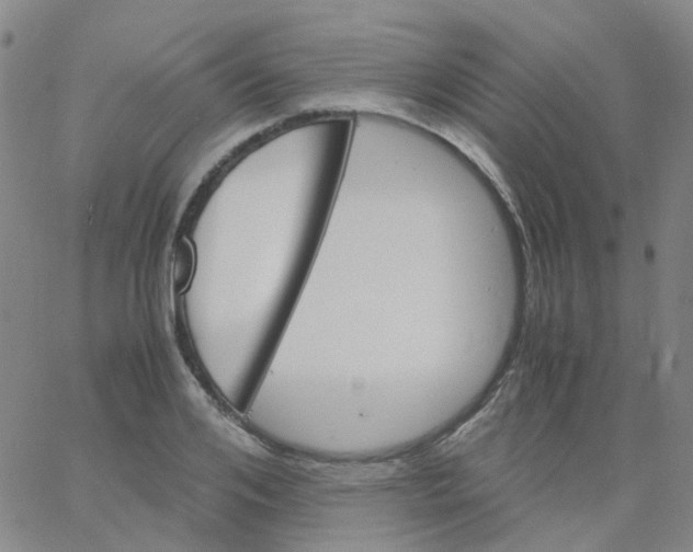 X0000060770984200512082029