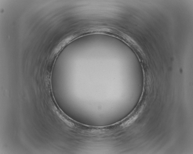 X0000060770985200512082029