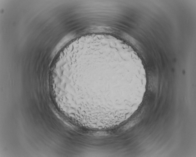 X0000060770986200512082029