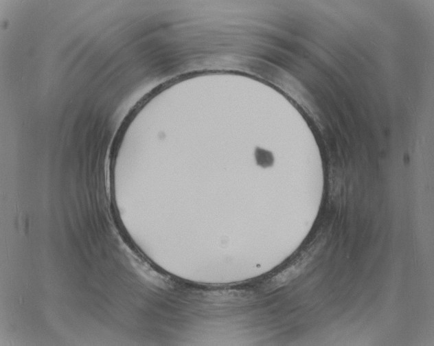 X0000060770988200512082029