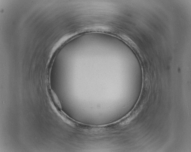 X0000060770989200512082029