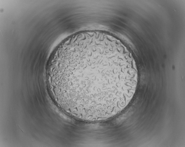 X0000060770990200512082029