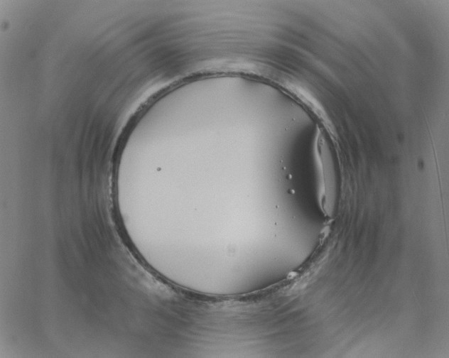 X0000060770992200512082029