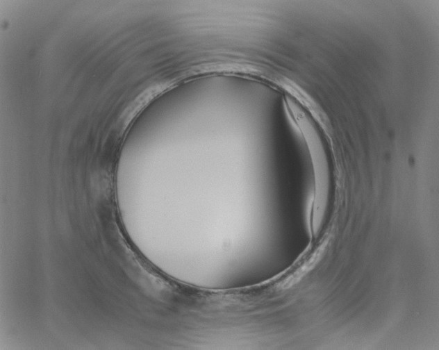 X0000060770993200512082029