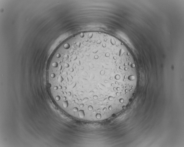 X0000060770994200512082029