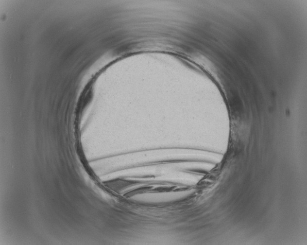 X0000060770995200512082029