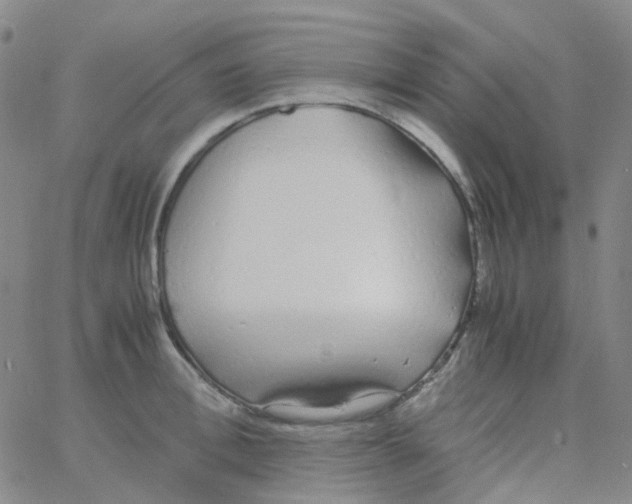 X0000060770996200512082029