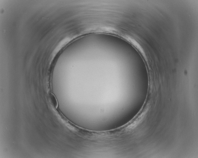 X0000060770997200512082029