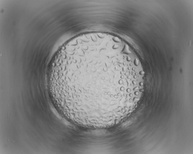 X0000060770998200512082029