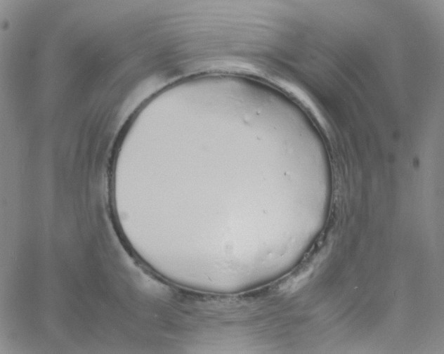 X0000060770999200512082029