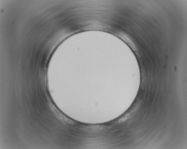 X0000060771000200512082029