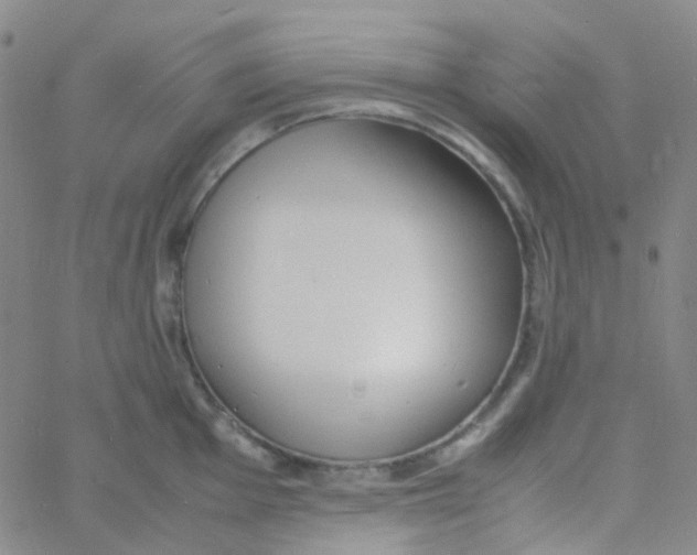 X0000060771001200512082029