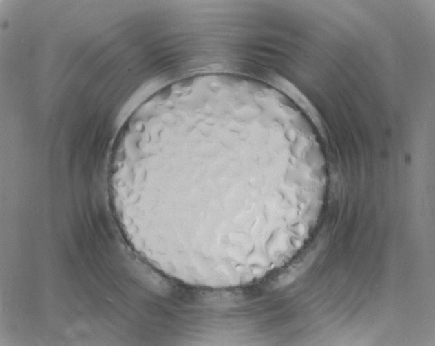 X0000060771002200512082029