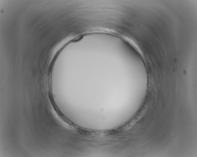 X0000060771003200512082029