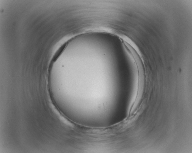 X0000060771005200512082029