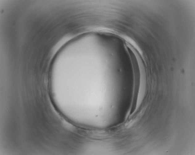 X0000060771007200512082029