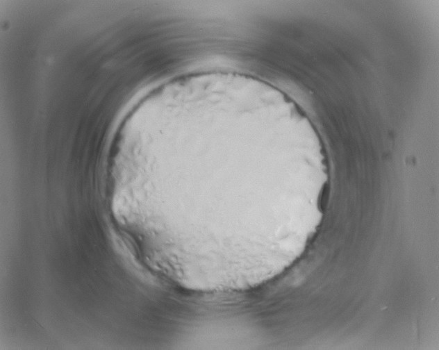 X0000060771008200512082029