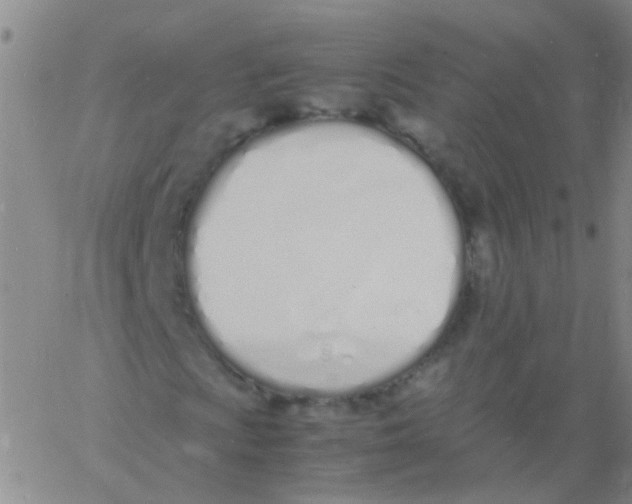 X0000060771009200512082028