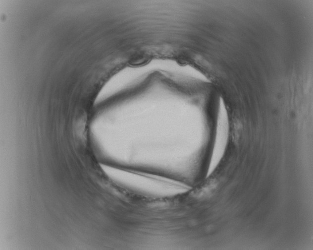 X0000060771010200512082028