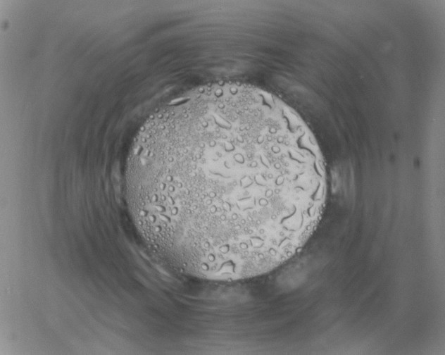 X0000060771011200512082028