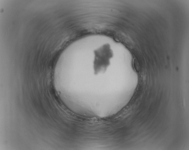 X0000060771012200512082028