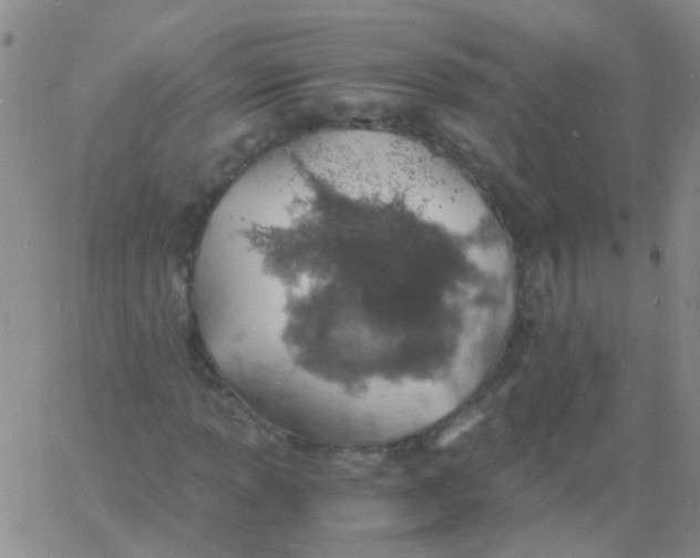 X0000060771013200512082028