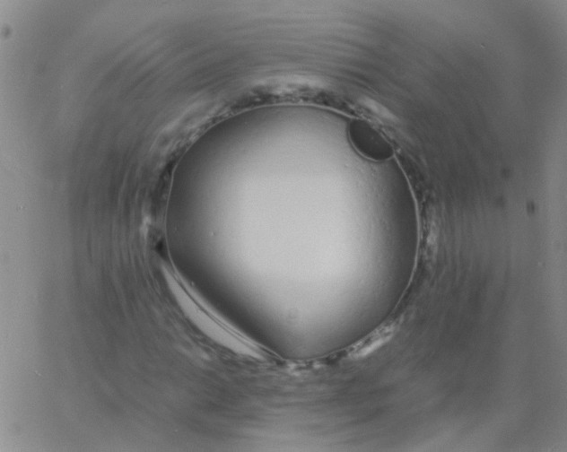 X0000060771014200512082028