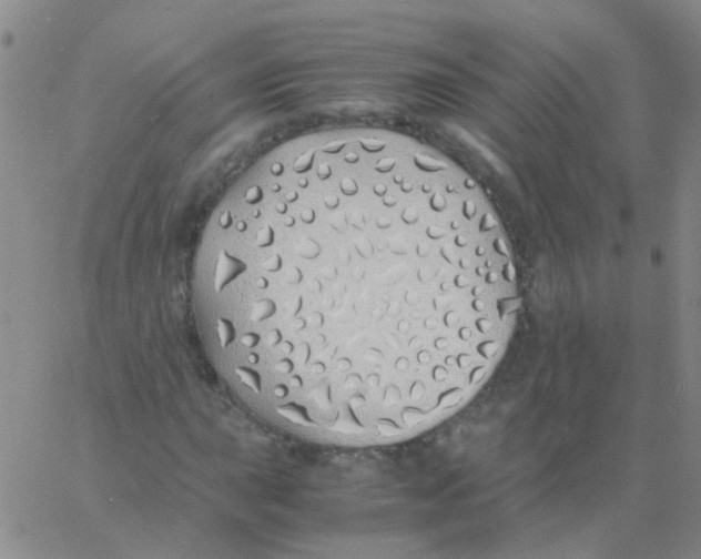 X0000060771015200512082028