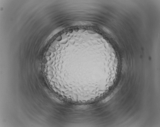 X0000060771017200512082028