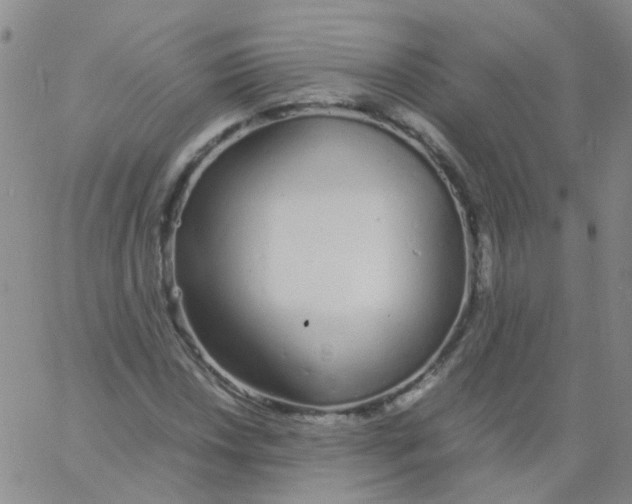 X0000060771018200512082028