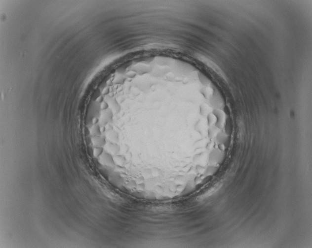 X0000060771021200512082028