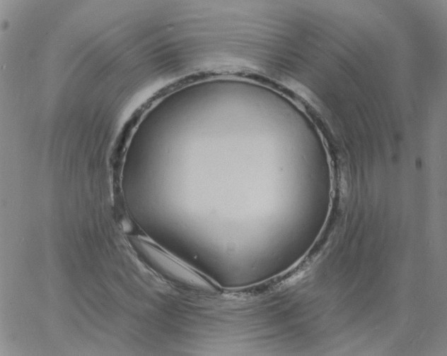 X0000060771022200512082028