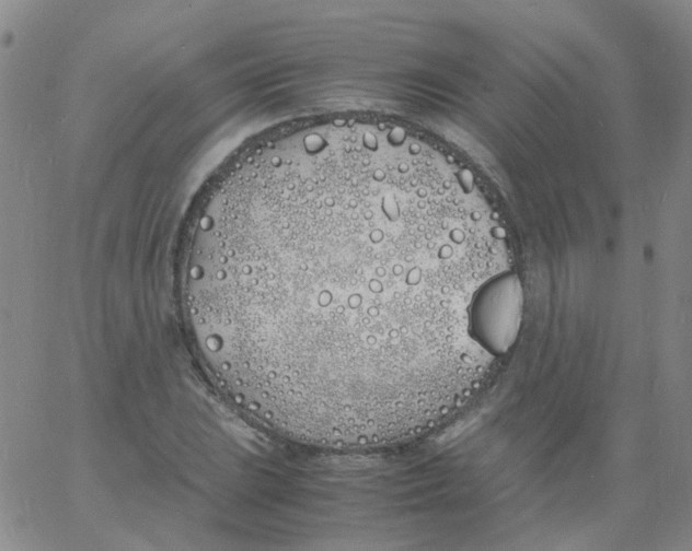 X0000060771023200512082028