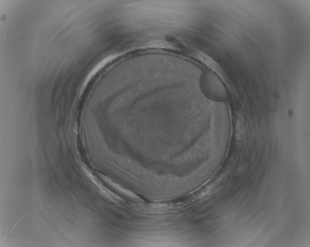 X0000060771024200512082028