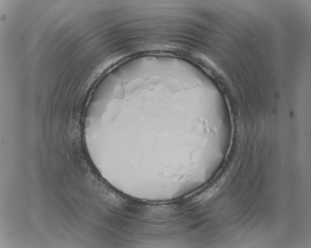 X0000060771025200512082028