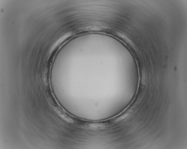 X0000060771026200512082028